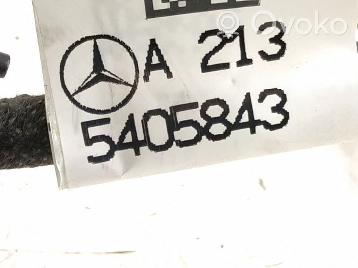 Mercedes-Benz E W213 Wiązka przewodów drzwi przednich 2135405843