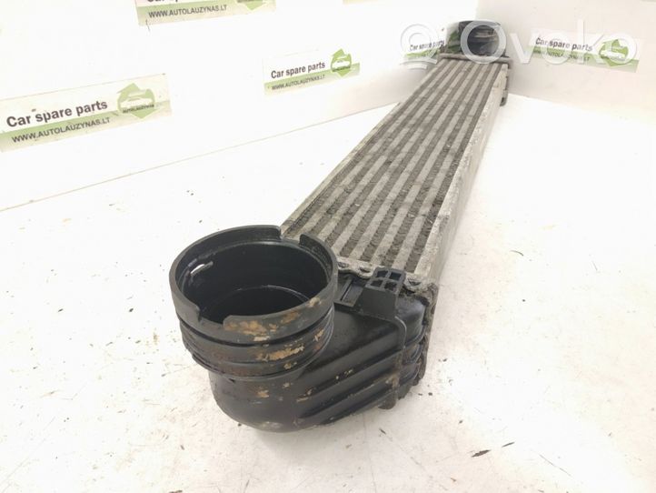 Mercedes-Benz B W245 Radiatore intercooler 