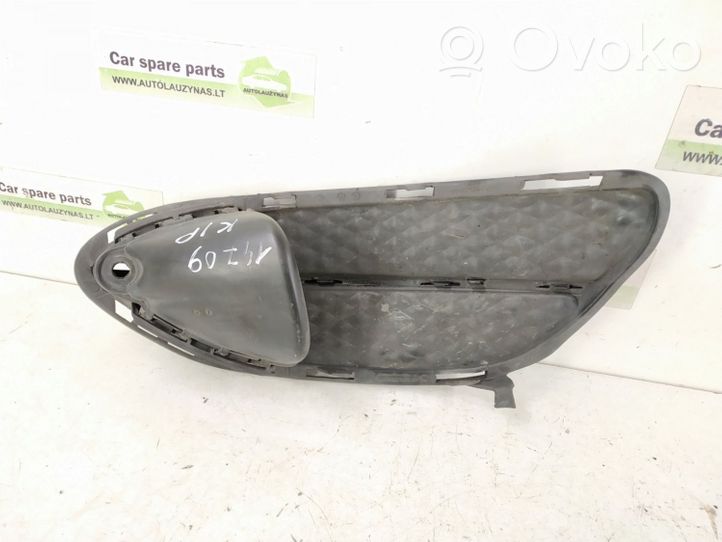 Mercedes-Benz E W212 Front bumper lower grill DALISID1134