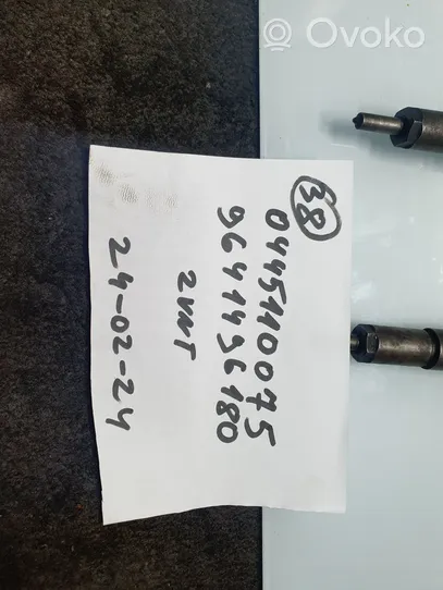 Peugeot 206 Fuel injectors set 