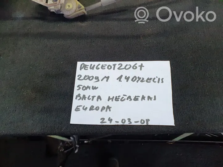 Peugeot 206+ Alzacristalli della portiera anteriore con motorino 9429