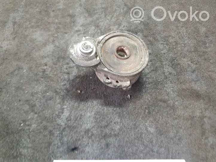 Audi A4 S4 B5 8D Tendicinghia generatore/alternatore 