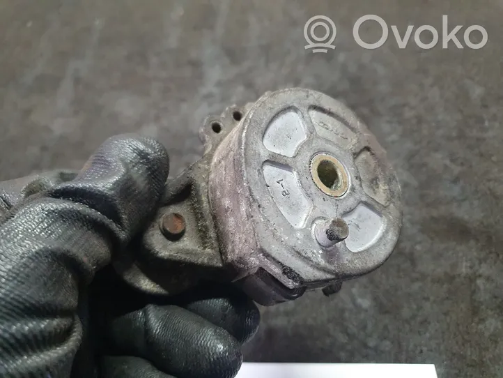 Audi A4 S4 B5 8D Napinacz paska alternatora 