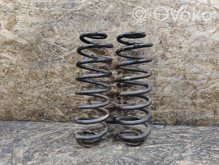 Chevrolet TrailBlazer Rear coil spring 