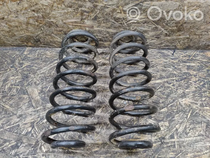 Chevrolet TrailBlazer Rear coil spring 