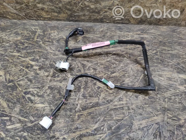 Lexus LS 460 - 600H Cableado de puerta trasera 8218850010