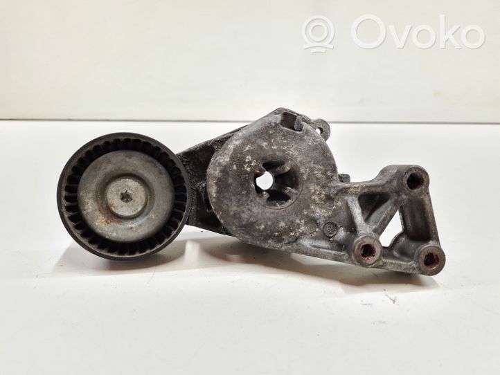 Volkswagen Touran I Napinacz paska wielorowkowego / Alternatora 06A903315F