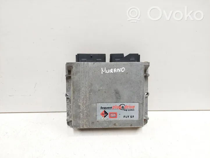 Nissan Murano Z50 Dujų įrangos valdymo blokas 67R011002