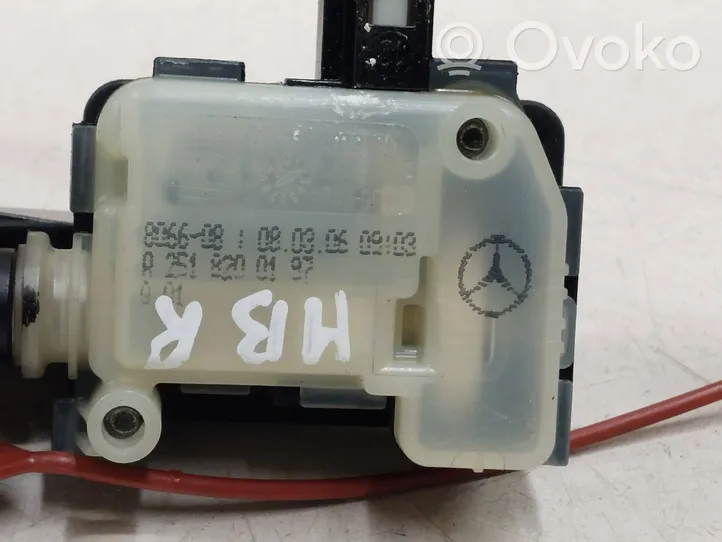 Mercedes-Benz R W251 Fuel tank cap lock A2518200197