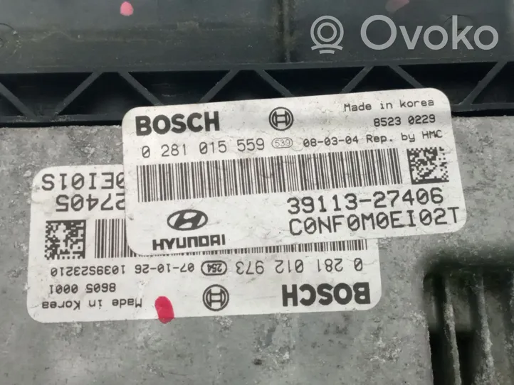 Hyundai Sonata Sterownik / Moduł ECU 3911327406