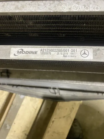 Mercedes-Benz C W204 Radiatora komplekts A2045000654