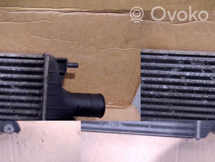 Fiat Sedici Starpdzesētāja radiators 1362079J80