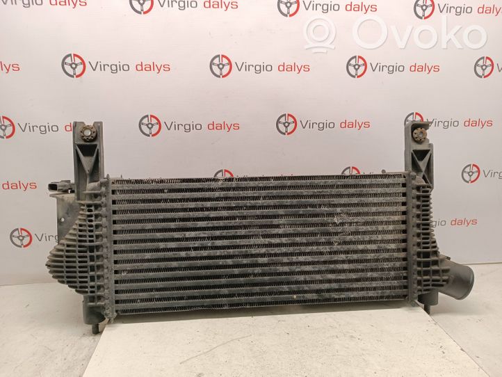 Nissan Navara D40 Radiatore intercooler 14461