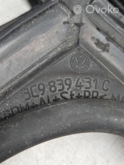 Volkswagen PASSAT B6 Gummidichtung Tür hinten 3C9839431C