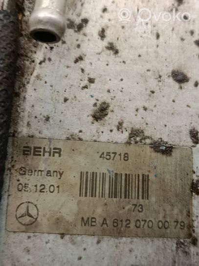 Mercedes-Benz ML W163 Polttoainejäähdytin (radiaattori) A6120700079