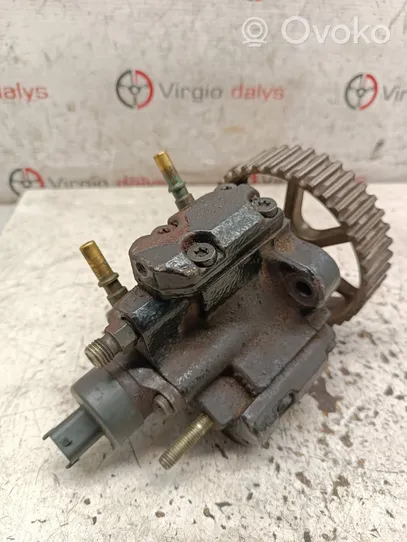 Renault Scenic I Fuel injection high pressure pump 0281002381