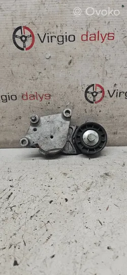 Peugeot 206 Tendicinghia generatore/alternatore Tf049