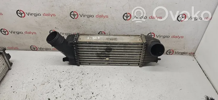 Peugeot 307 Chłodnica powietrza doładowującego / Intercooler 9636635380