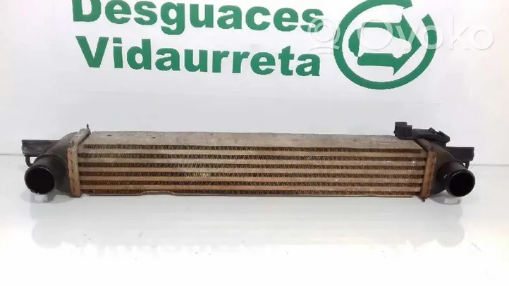 Fiat Qubo Chłodnica powietrza doładowującego / Intercooler 51790623