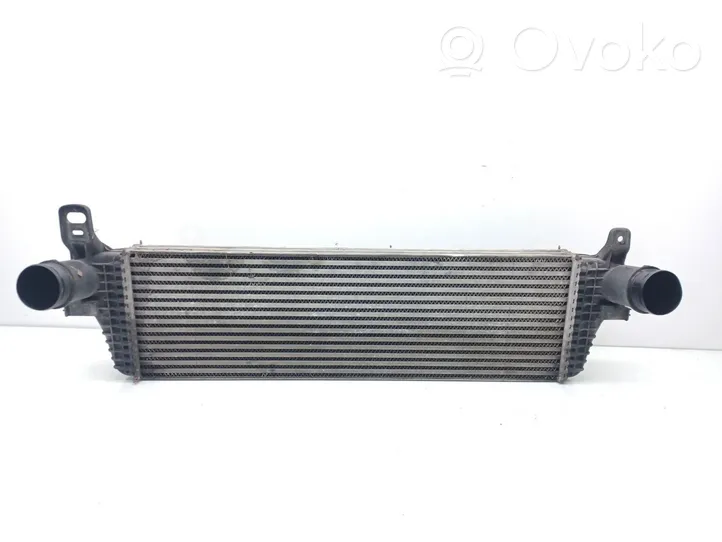 Volkswagen Multivan T5 Intercooler radiator 7E0145804A