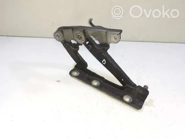 Mercedes-Benz E W211 Cerniere del vano motore/cofano A2118800428