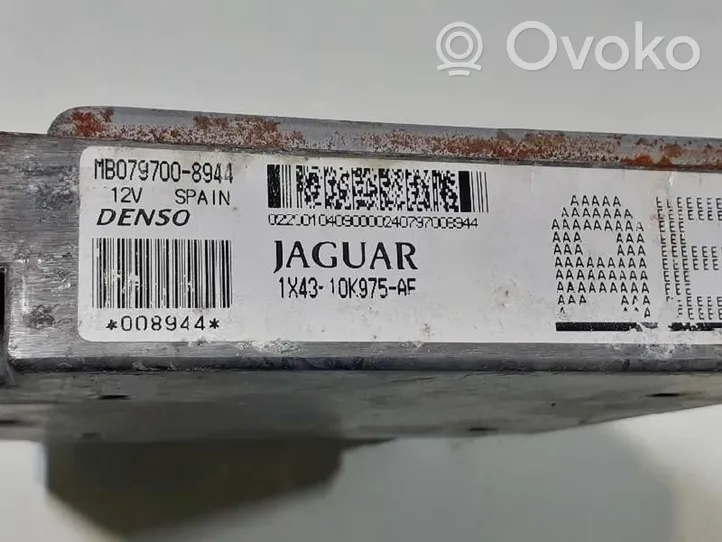 Jaguar X-Type Unité de commande, module ECU de moteur 1X4310K975AE
