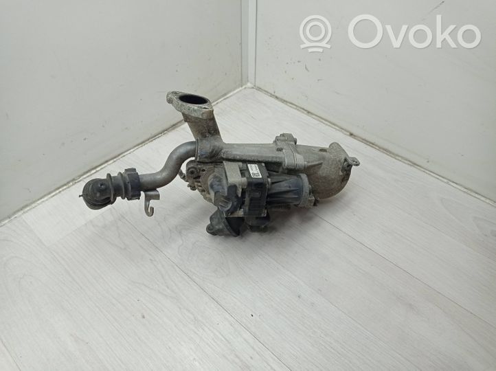 Citroen C3 Picasso EGR vožtuvas 50563902