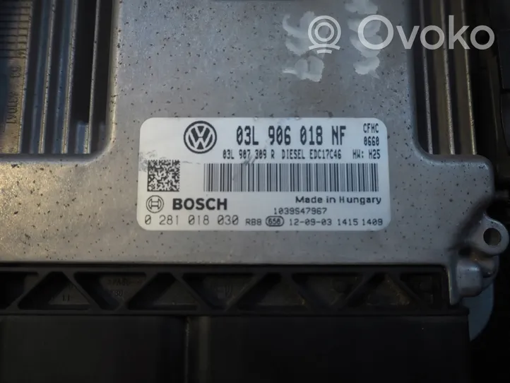 Volkswagen Caddy Centralina/modulo del motore 03L906018NF