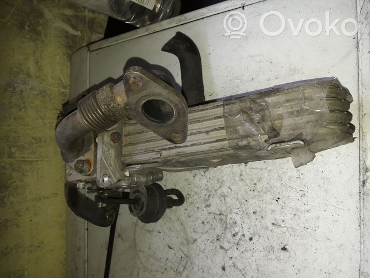 Skoda Octavia Mk2 (1Z) Valvola di raffreddamento EGR 