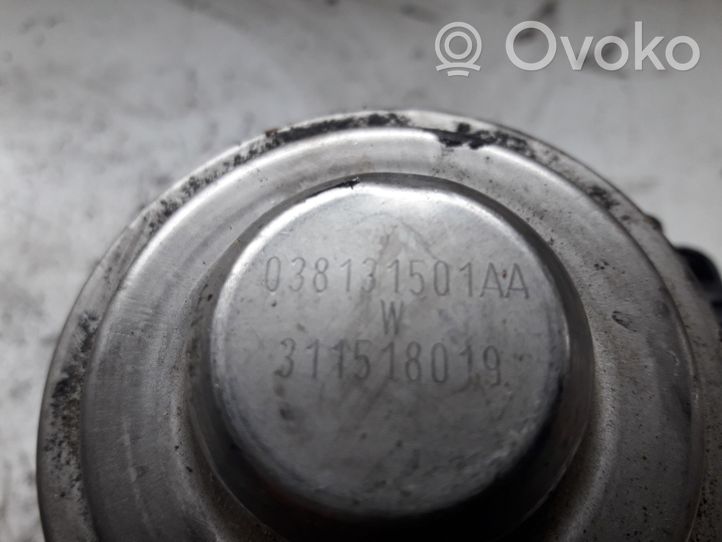 Volkswagen PASSAT B5.5 Engine shut-off valve 038131501AA