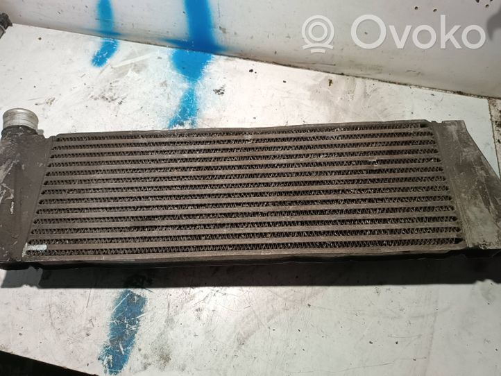 Renault Megane II Radiatore intercooler 