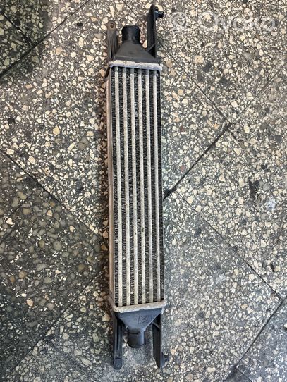 Fiat Punto (199) Chłodnica powietrza doładowującego / Intercooler 866452000