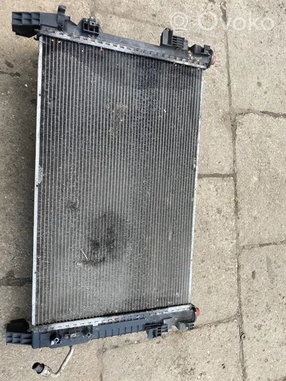 Mercedes-Benz A W169 Radiateur de refroidissement A1695001803