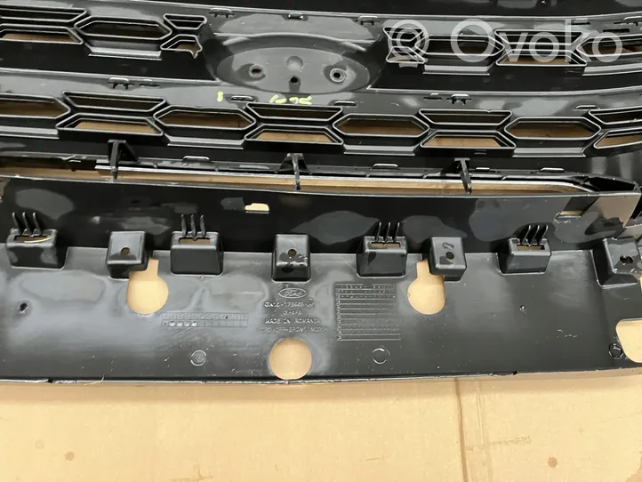 Ford Ecosport Front grill 