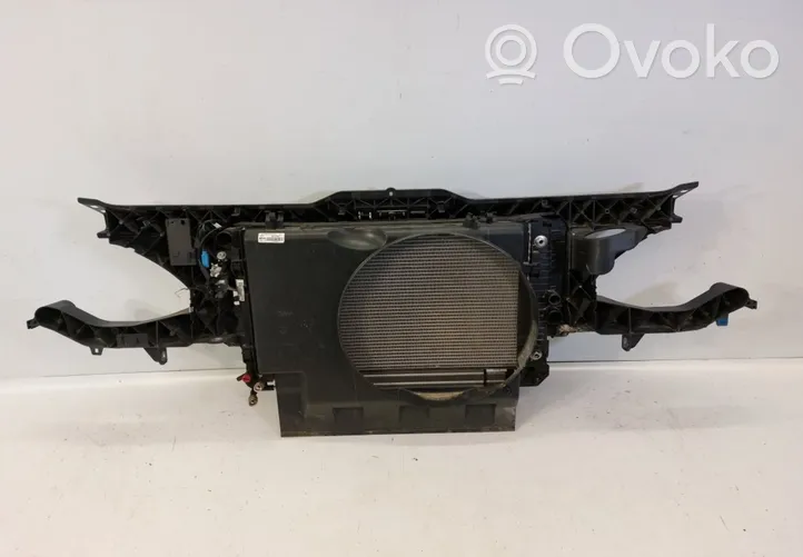 Mercedes-Benz Vito Viano W639 Панель радиаторов (телевизор) A6395011201