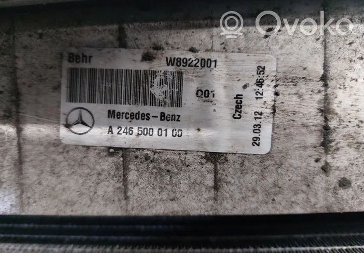 Mercedes-Benz C W204 Set del radiatore A2465000100