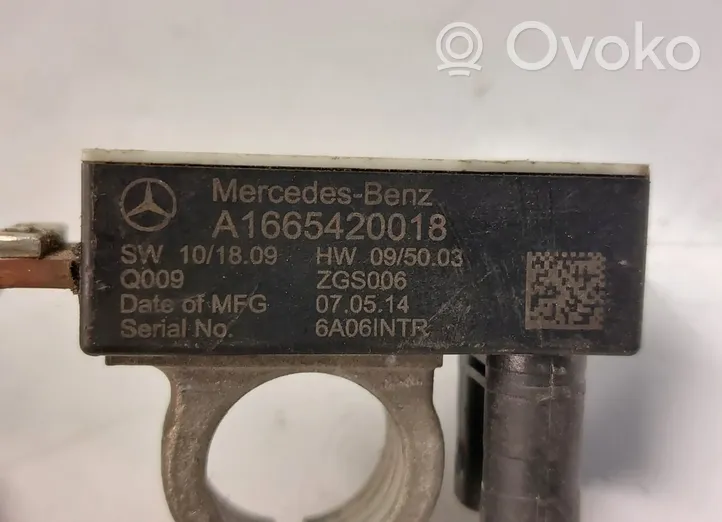 Mercedes-Benz B W246 W242 Altro tipo di cablaggio A1665420018