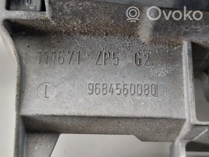 Citroen C3 Klamka zewnętrzna drzwi tylnych 9684560080