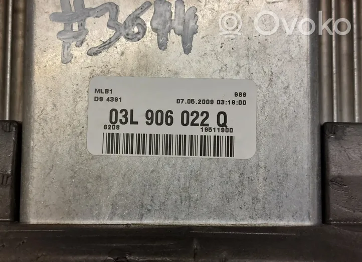 Audi Q5 SQ5 Calculateur moteur ECU 03L906022Q