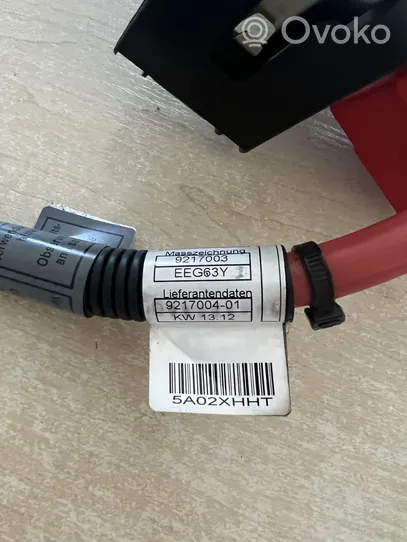 BMW X6 E71 Câble de batterie positif 9217004