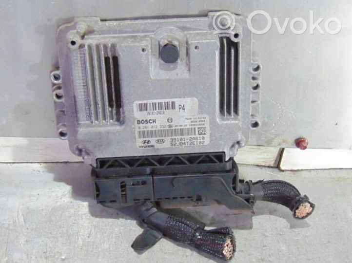 KIA Rio Sterownik / Moduł ECU 391012A610