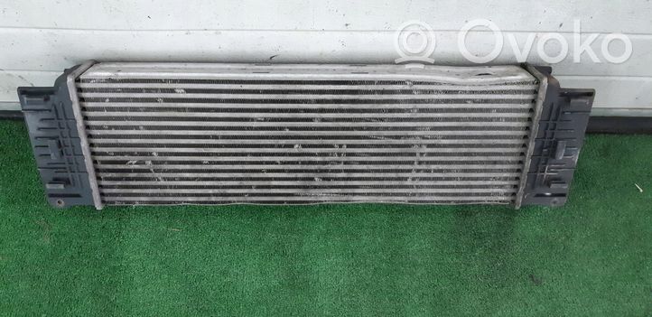 Volkswagen Crafter Chłodnica powietrza doładowującego / Intercooler 2E0154804