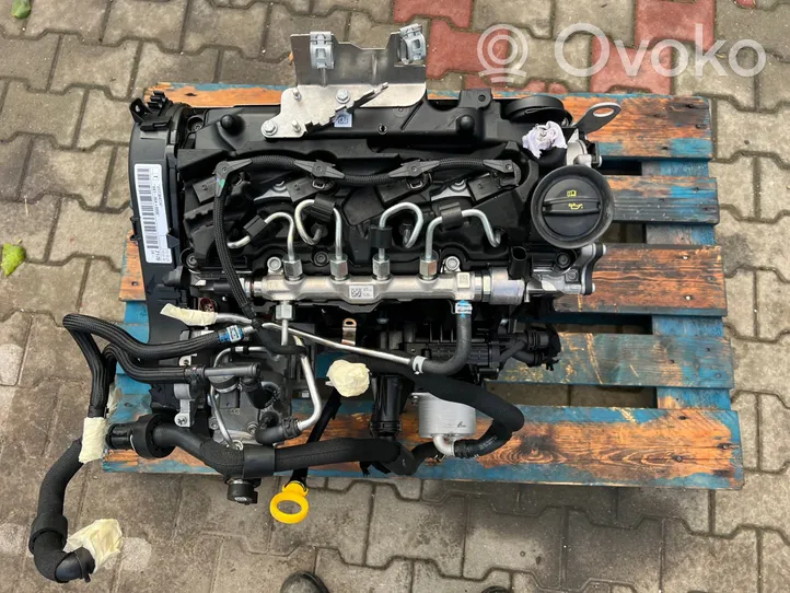 Volkswagen Golf VIII Motore DTT