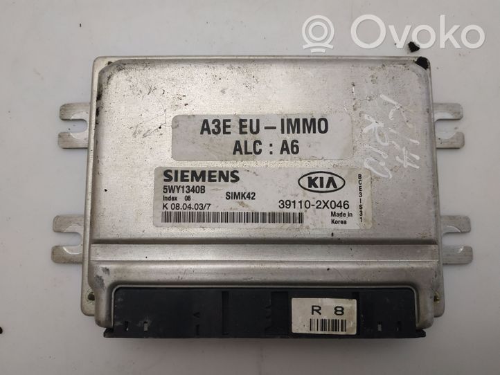 KIA Rio Unidad de control/módulo del motor 391102X046