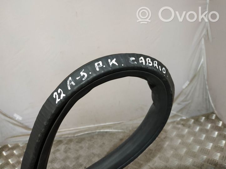 Audi A5 8T 8F Front door rubber seal 8F0831707