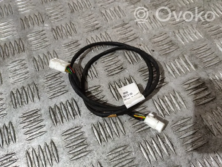 BMW 5 GT F07 Otros cableados 969713