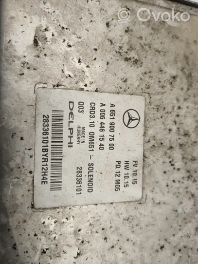 Mercedes-Benz E C207 W207 Calculateur moteur ECU A6519007500