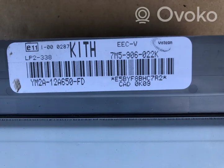 Ford Galaxy Variklio valdymo blokas YM2A12A650FD
