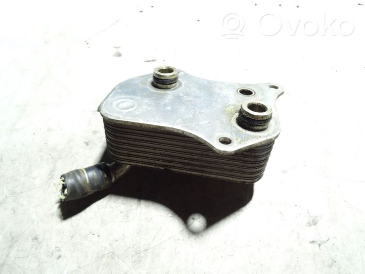 Audi A4 S4 B7 8E 8H Radiatore dell’olio del motore 06B117021