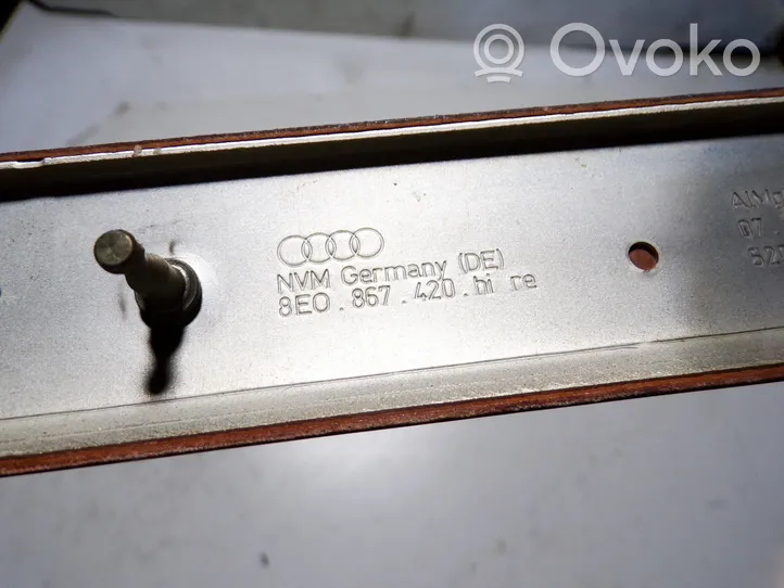 Audi A4 S4 B6 8E 8H Rivestimento della portiera posteriore 8E0867420